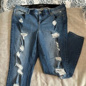 Torrid Jeans